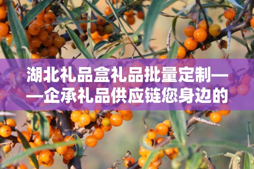 湖北礼品盒礼品批量定制——企承礼品供应链您身边的专业礼品定制公司